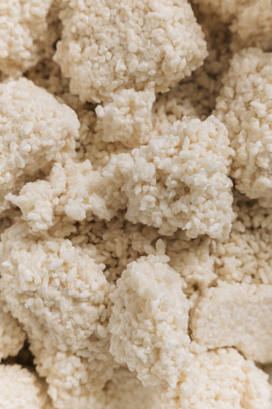 Miso Fermentation Workshop