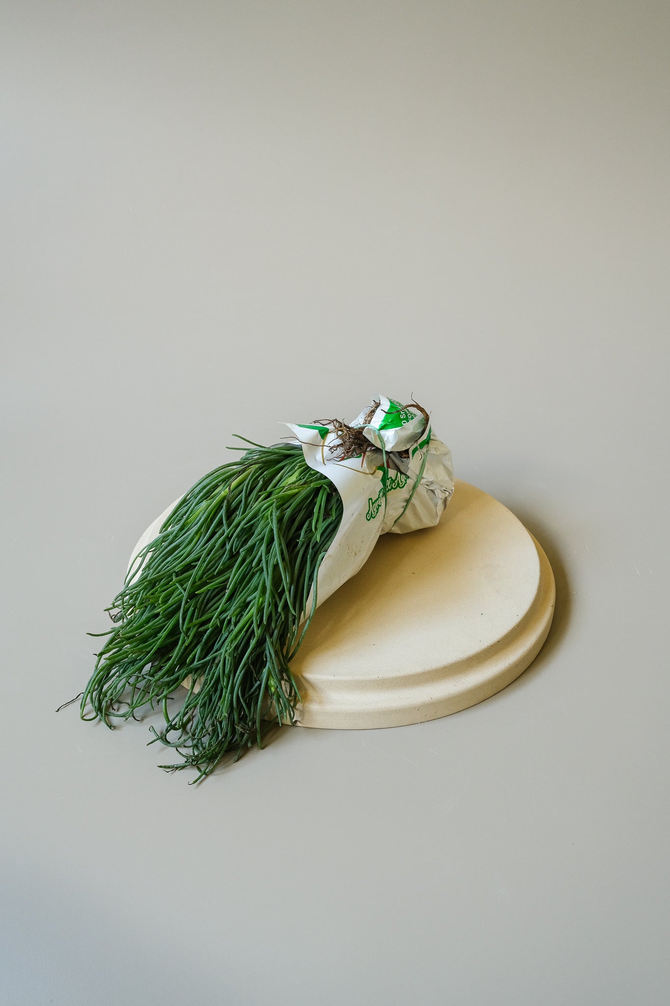 Edged Plate M