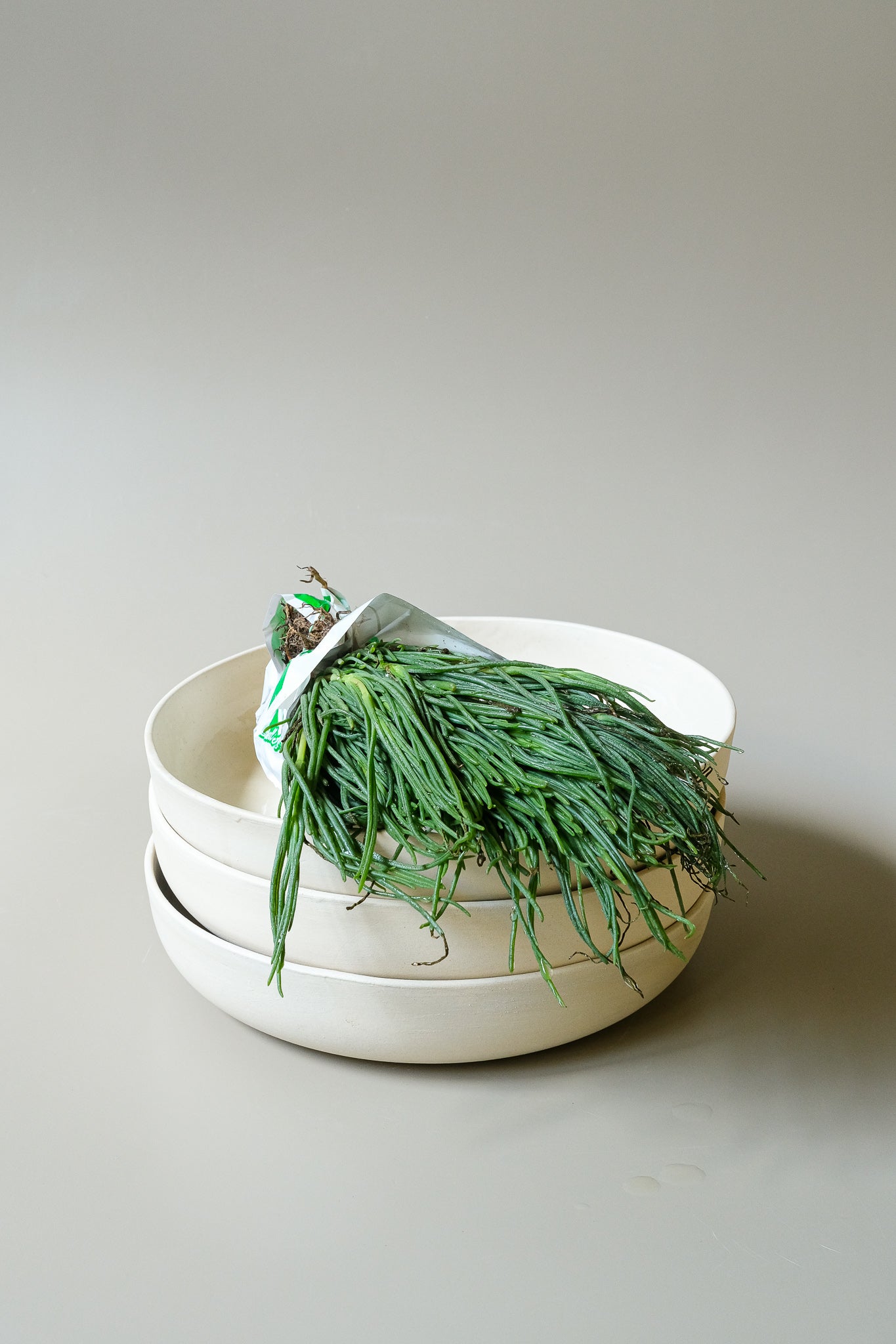 Round Pasta Bowl M