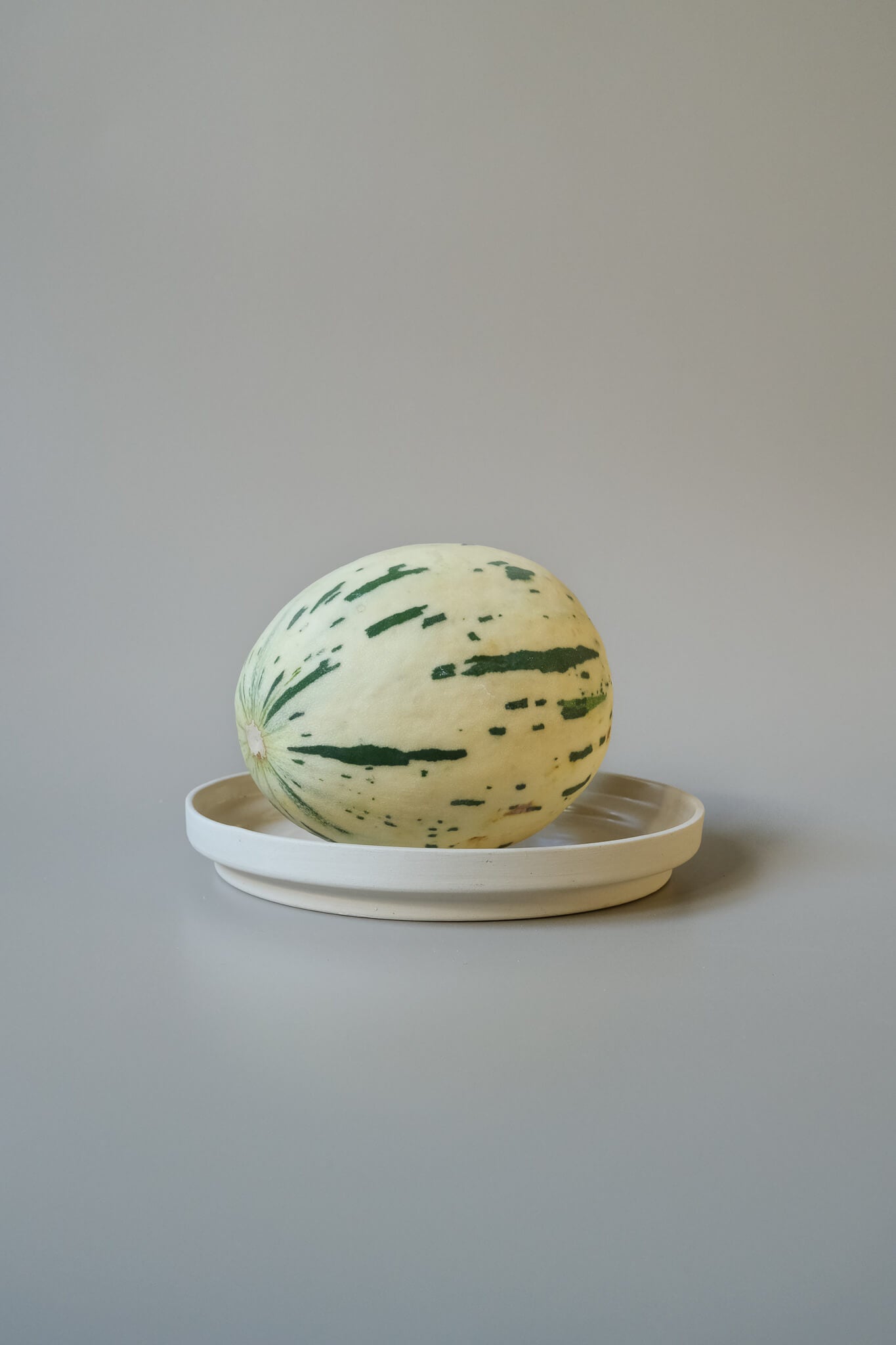 Edged Plate S