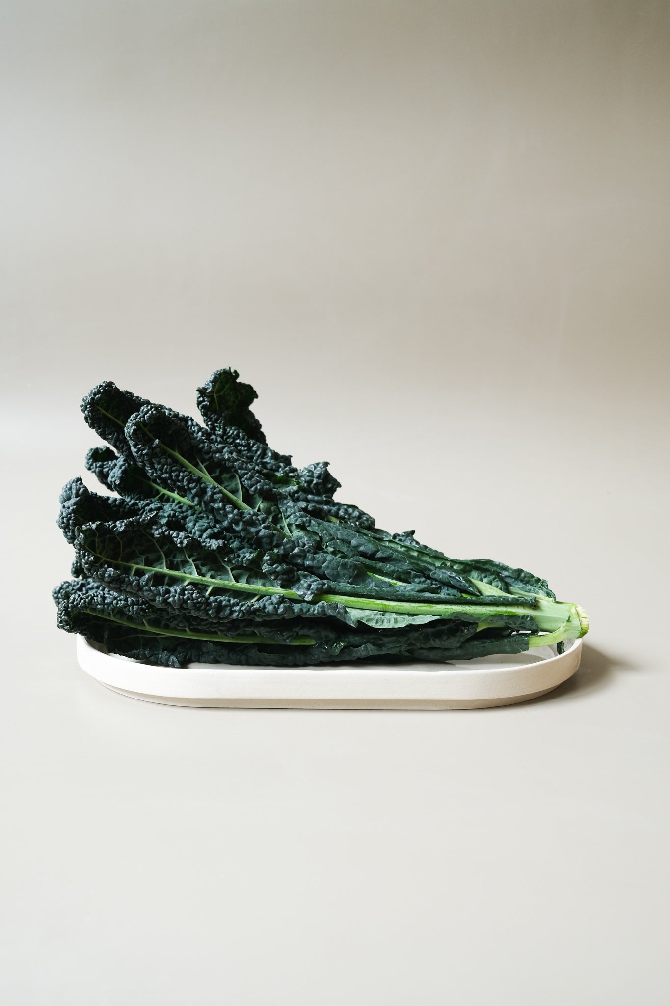 Edged Serving Plate