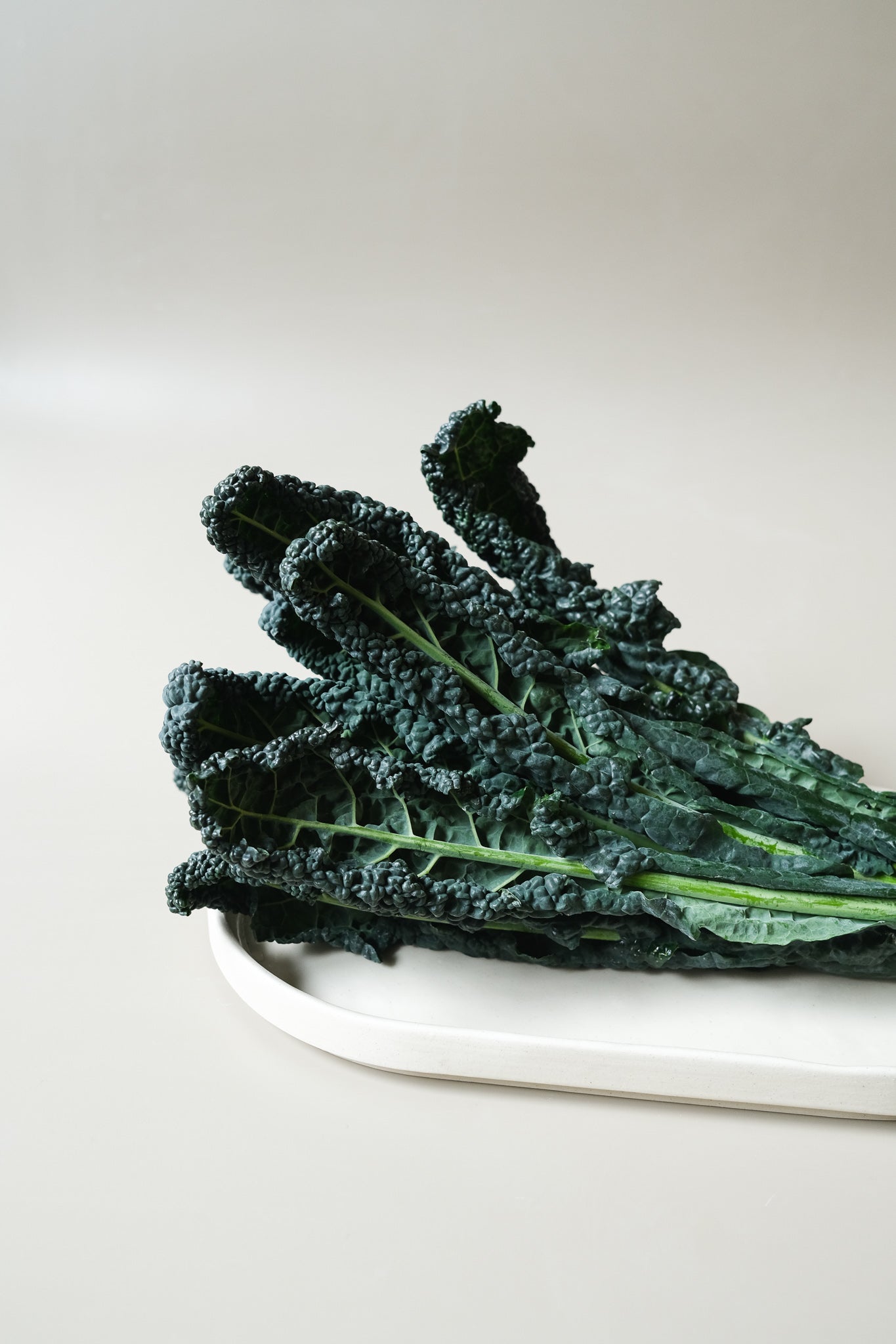 Edged Serving Plate