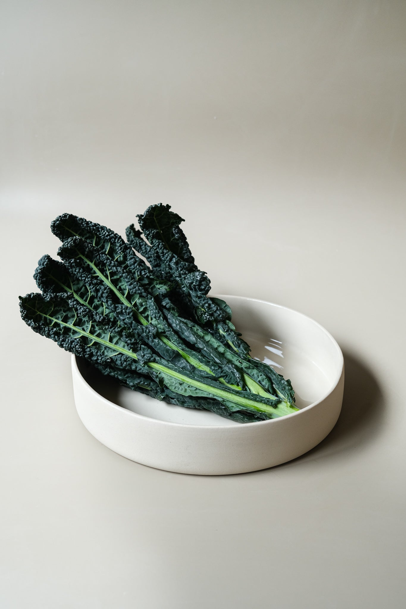 Flat Serving Bowl XL