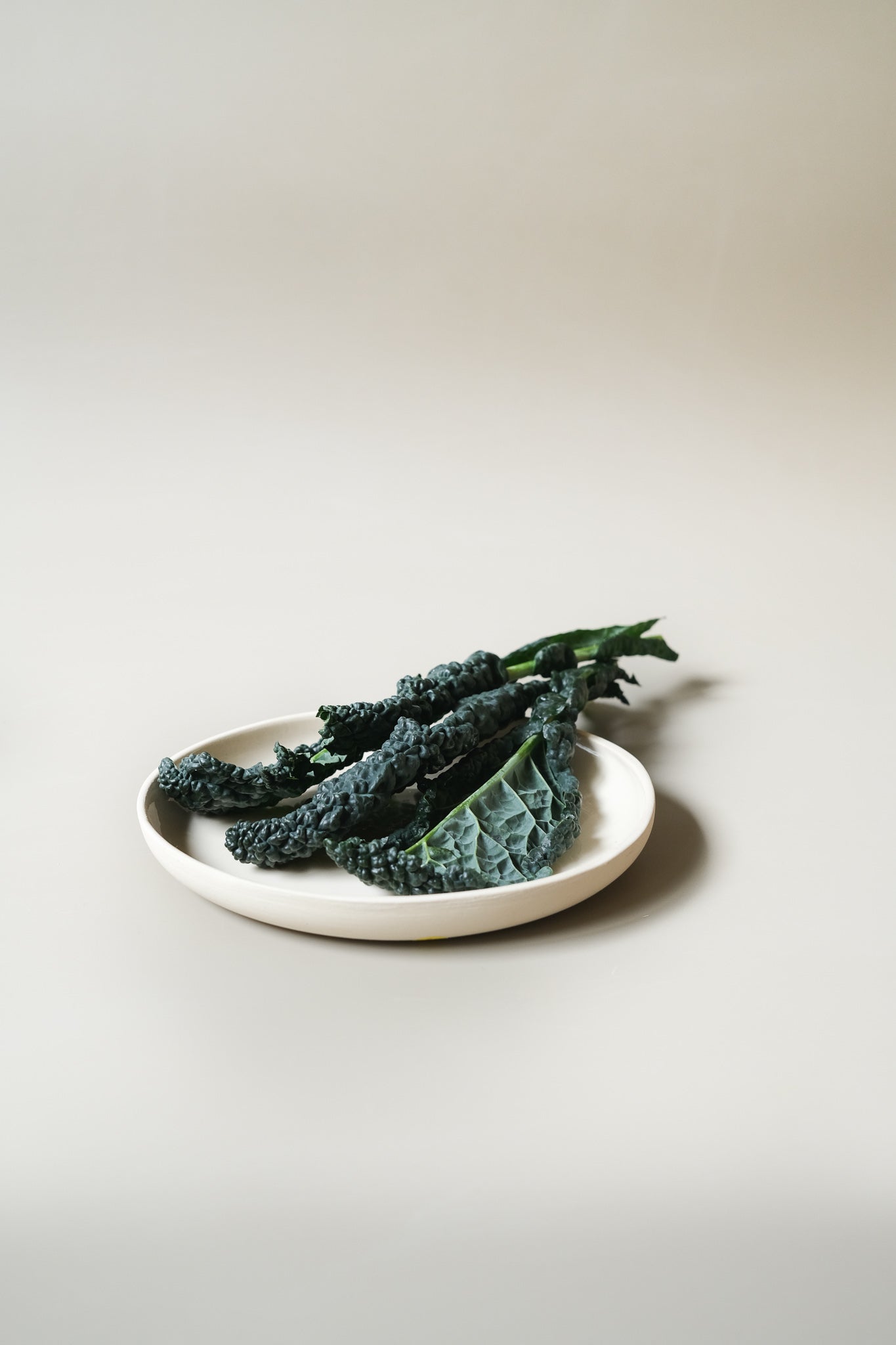 Round Small Breakfast Plate S