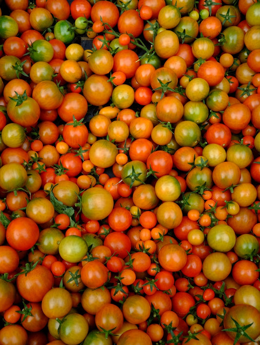 a pinch of salt market bag