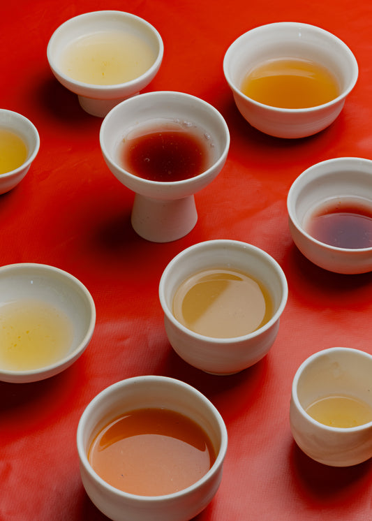Wasserkefir Fermentation Workshop 24. September (Foodtura Festival)