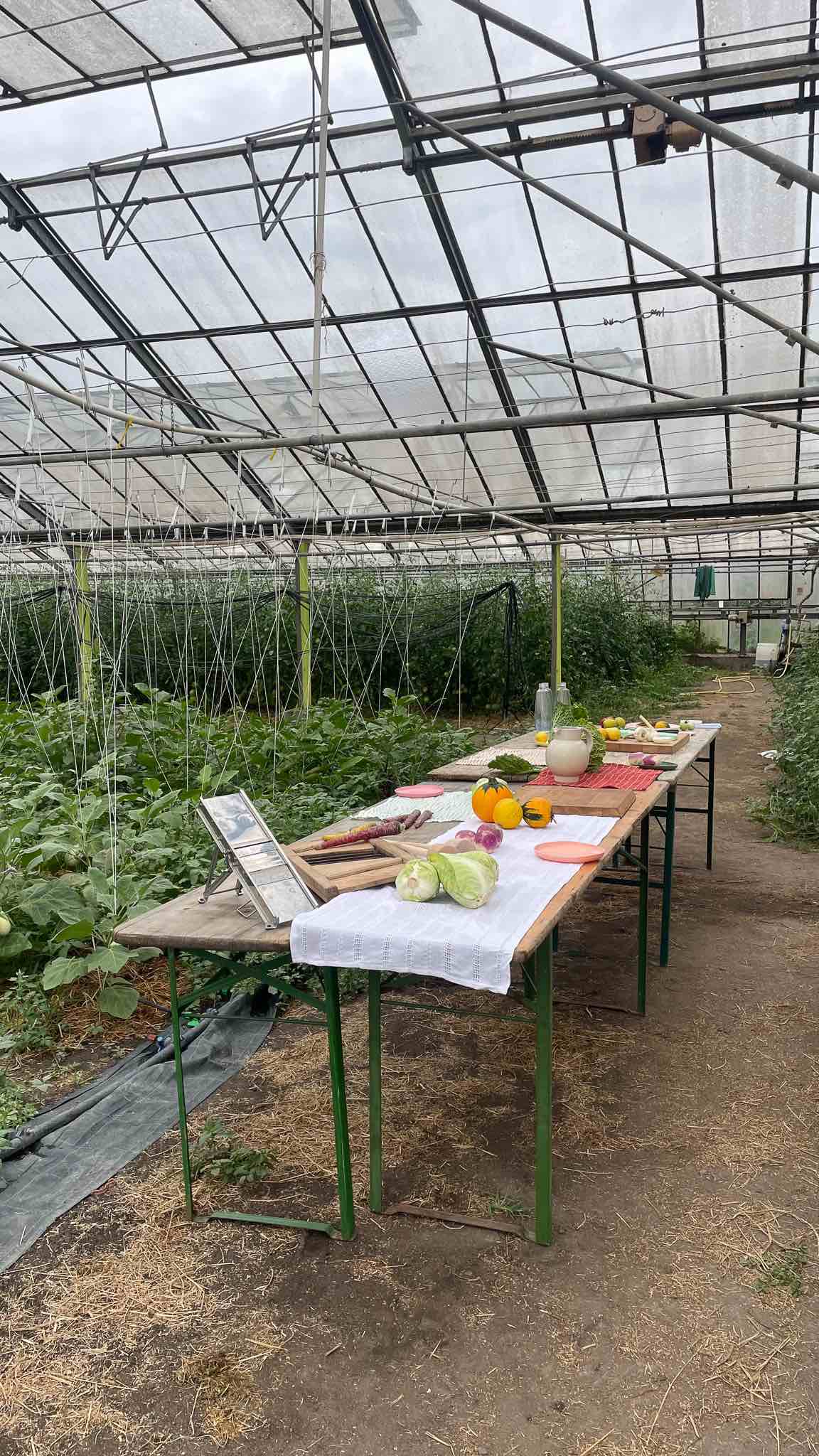 Lacto-Fermentation Workshop 24. + 25. September – Einlegen – Foodtura Festival