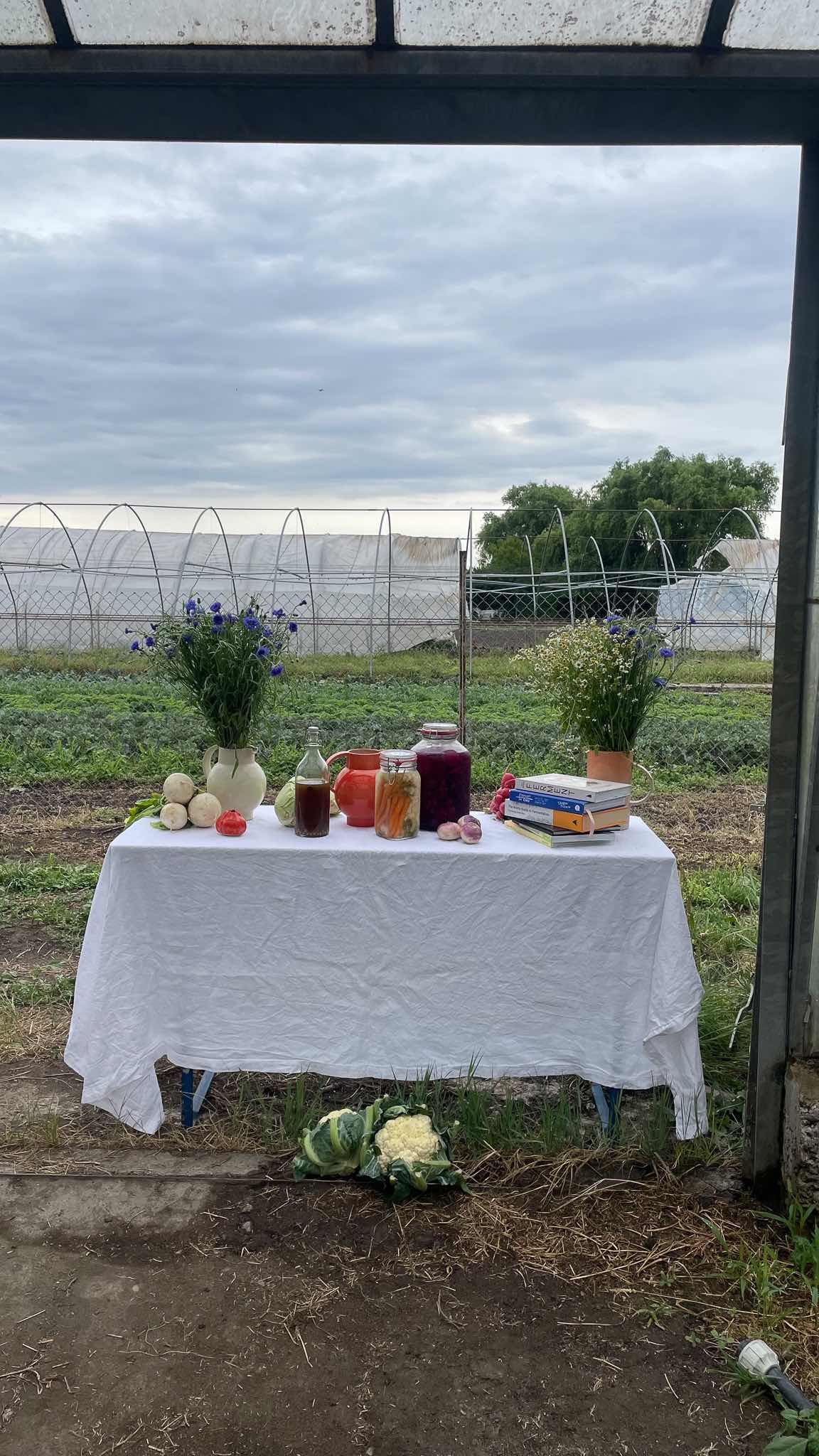 Lacto-Fermentation Workshop 24. + 25. September – Einlegen – Foodtura Festival