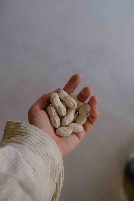 Porcelain Peanuts Butter Knife Rest / Chopstick Rest