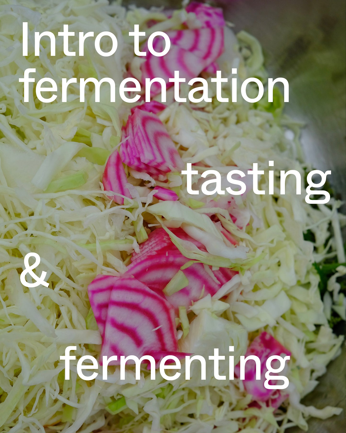 Lacto-Fermentation Workshop 24. + 25. September – Einlegen – Foodtura Festival
