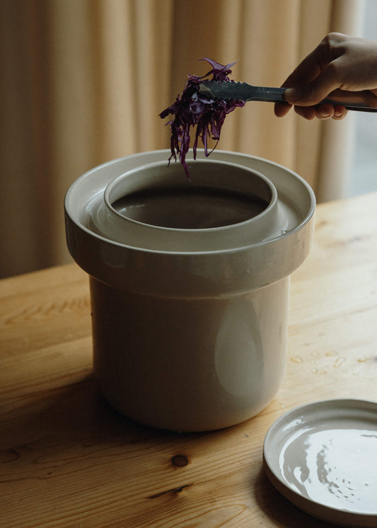 Fermentation Pot in M Gärtopf für Pickles, Sauerkraut & Kimchi